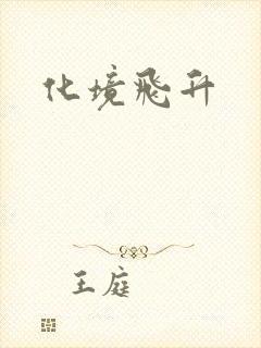 化境飞升