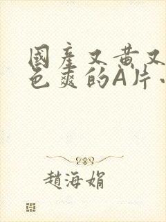 国产又黄又大又色爽的A片小说