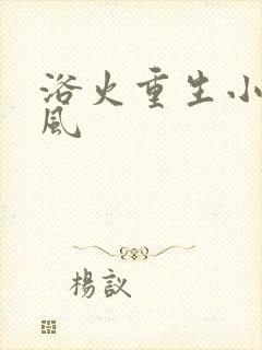 浴火重生小说陈风