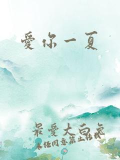 爱你一夏
