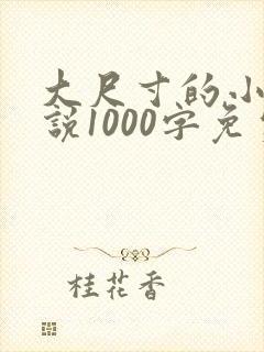 大尺寸的小黄说说1000字免费