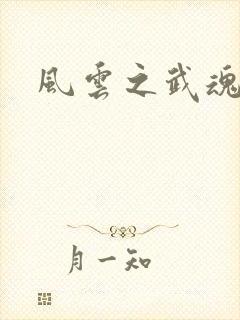 风云之武魂