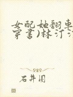 女配她翻车了(穿书)林汀汀