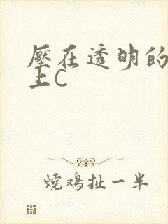 压在透明的玻璃上C