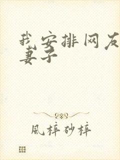 我安排网友开发妻子