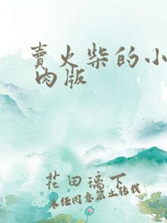 卖火柴的小男孩 肉版