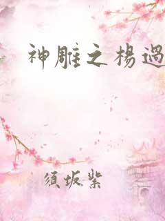 神雕之杨过新传