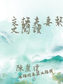 交换夫妻系列全文阅读