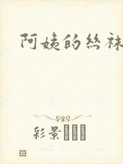 阿姨的丝袜小说