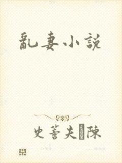 乱妻小说