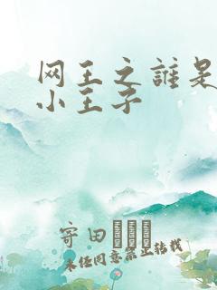网王之谁是我的小王子