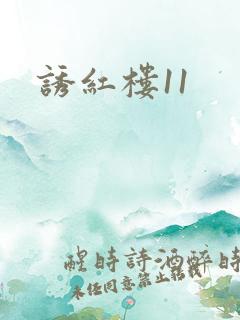 诱红楼11