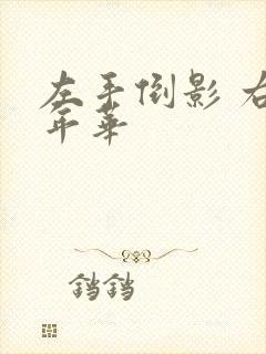 左手倒影 右手年华