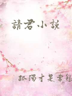 请君小说