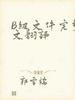 B级文件完整中文翻译