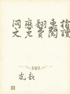 网恋翻车指南全文免费阅读完整版