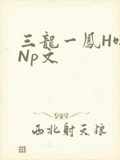 三龙一凤H啪肉Np文