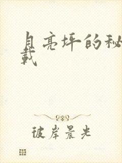 月亮坪的秘密下载