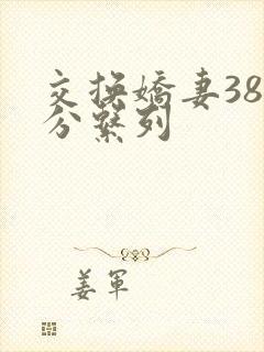 交换娇妻38部分系列