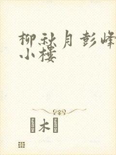 柳秋月彭峰月满小楼