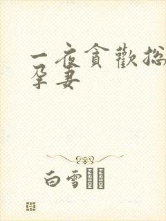 一夜贪欢总裁幸孕妻