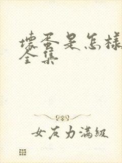 坏蛋是怎样炼成全集