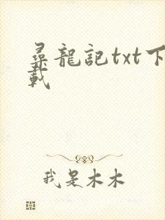 寻龙记txt下载