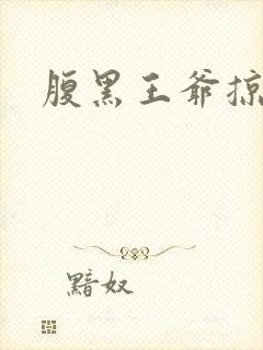 腹黑王爷掠邪妃