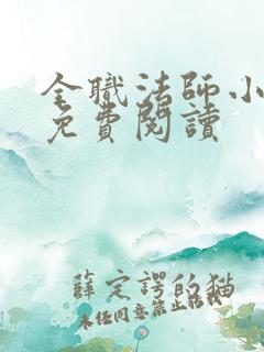 全职法师小说 免费阅读