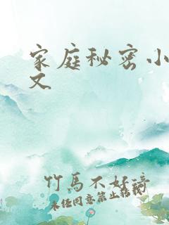 家庭秘密小说全文