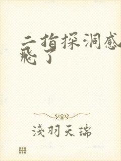 二指探洞感觉要飞了