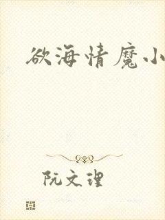 欲海情魔小说