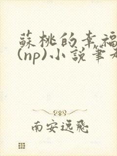 苏桃的幸福生活(np)小说笔趣阁沐沐