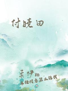 付晓田