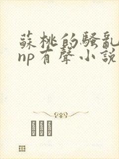 苏桃的骚乱文肉np有声小说