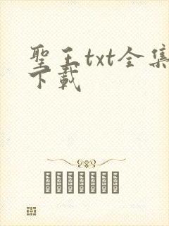 圣王txt全集下载