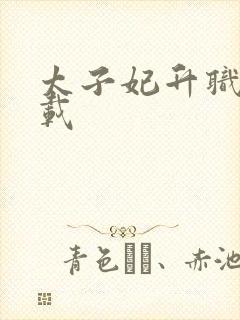 太子妃升职记下载