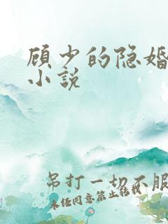 顾少的隐婚罪妻小说