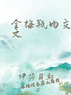 金梅瓶肉交白话文