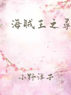 海贼王之寻亲记