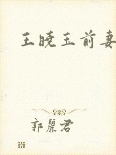 王晓玉前妻