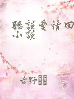 听说爱情回来过小说