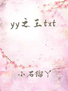 yy之王txt