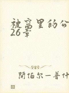 被窝里的公憩第26章