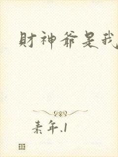 财神爷是我老板