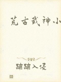 荒古武神小说