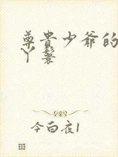 尊贵少爷的大牌丫鬟