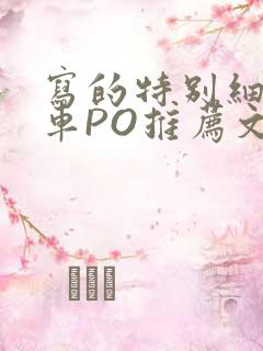 写的特别细的开车PO推荐文