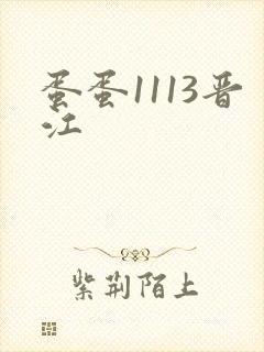 蛋蛋1113晋江