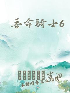 吾命骑士6